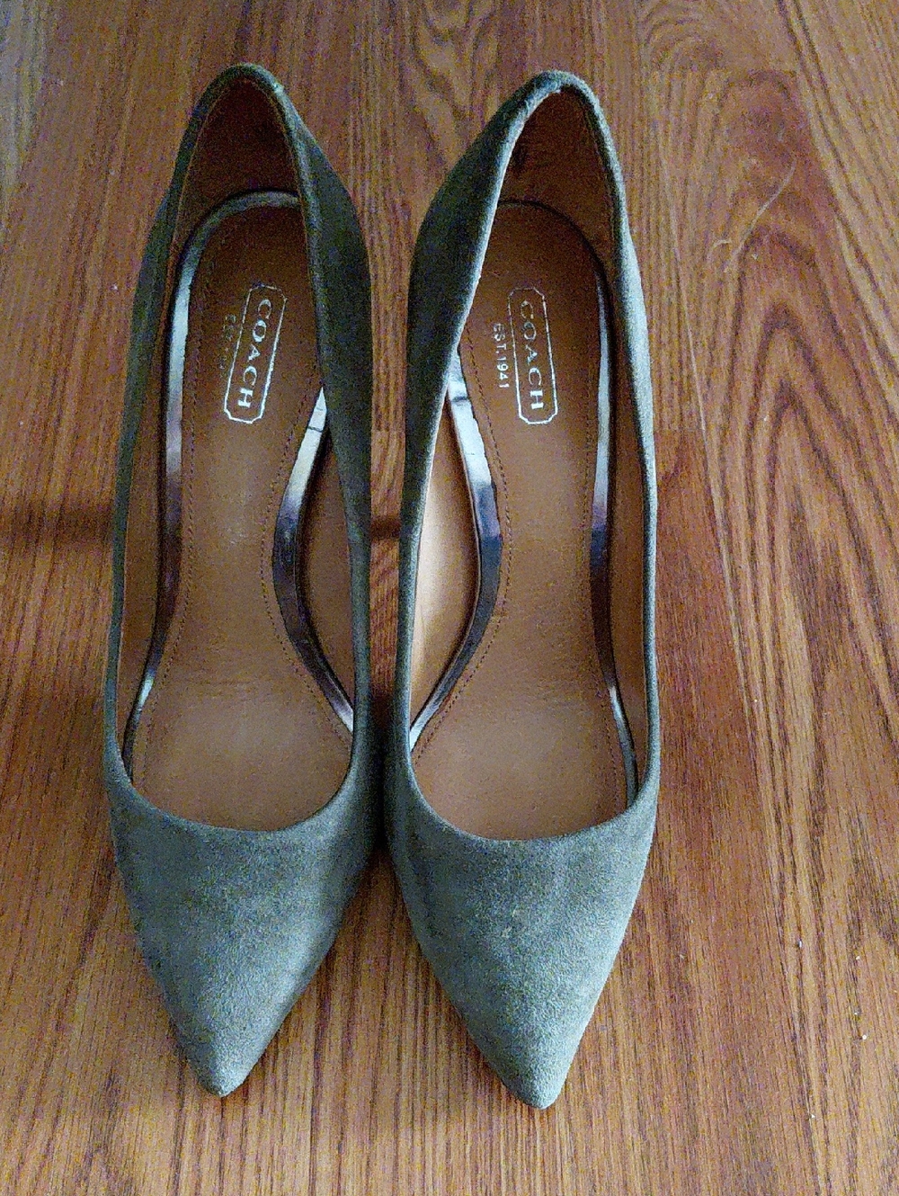 Coach Olive Suede Pointed Toe Heels